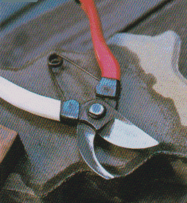 Pruning-scissors11