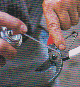 Pruning-scissors12