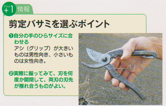 Pruning-scissors2